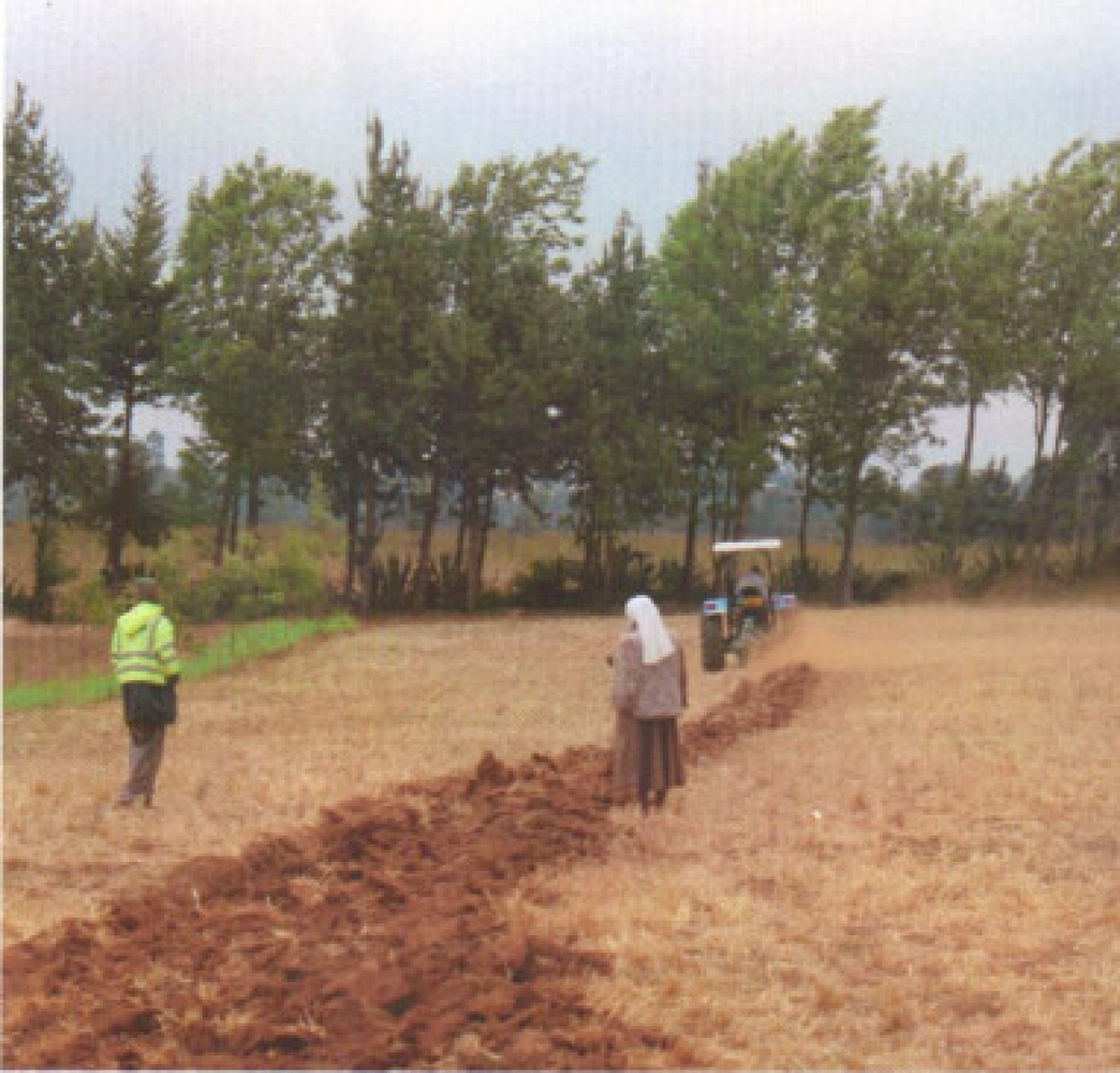 Il trattore è arrivato in Tanzania grazie al Campo Lavoro